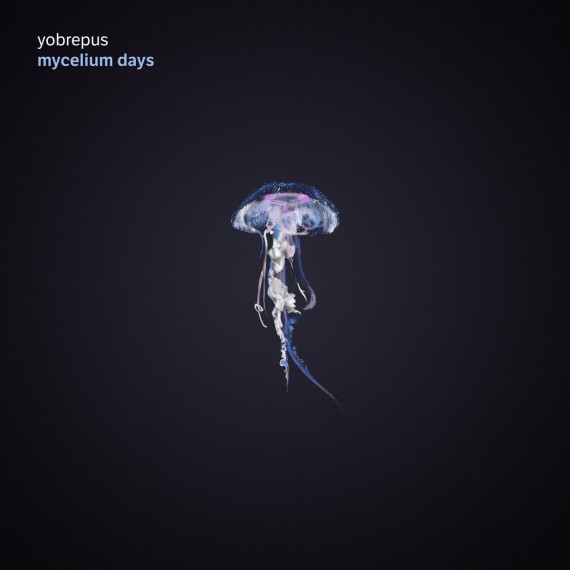 Yobrepus-Mycelium-Days