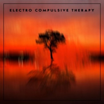 Electro-Compulsive-Therapy-Electro-Compulsive-Therapy