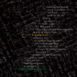 Three Cane Whale - Palimpsest (LP)