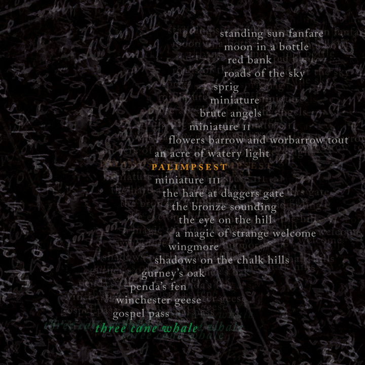 Three Cane Whale - Palimpsest (LP)