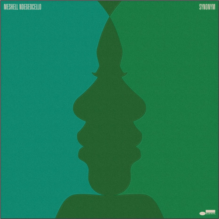 Ndegeocello Meshell - Synonym (LP)