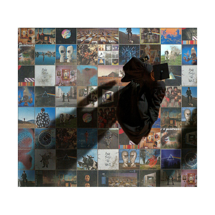 Pink Floyd - A Foot in the Door: The Best of Pink Floyd (CD)