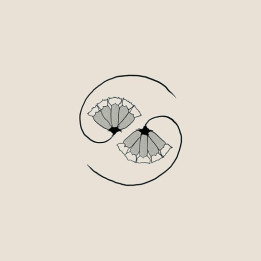 Godspeed You! Black Emperor - G_D'S Pee At State'S End! (EP)