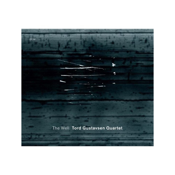 Gustavsen Tord - The Well (CD)