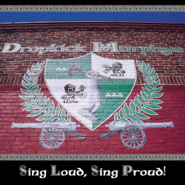 Dropkick Murphys - Sing Loud, Sing Proud! (LP)