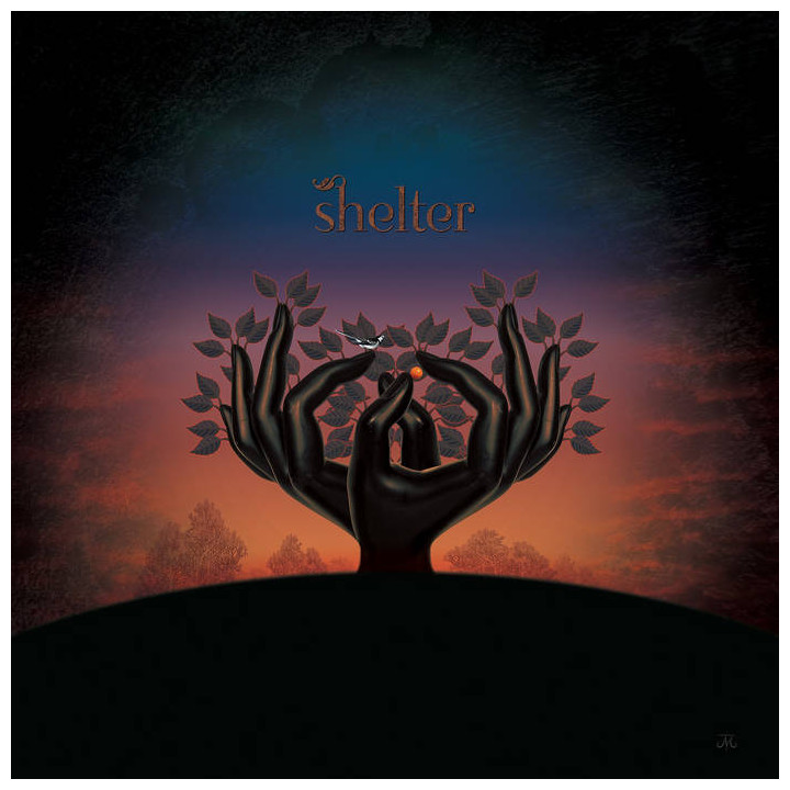 Laughing Stock - Shelter (CD)