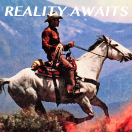 Strokes The - Reality Awaits (LP)