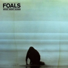 Foals - What Went Down (LP)