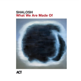 Shalosh - What We Are Made Of (LP)