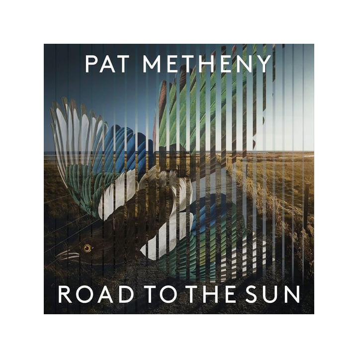 Metheny Pat - Road To The Sun (CD)