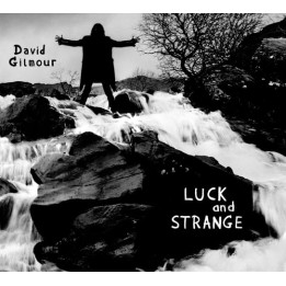 Gilmour David - Luck And Strange (LP)