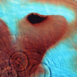 Pink Floyd - Meddle (LP)