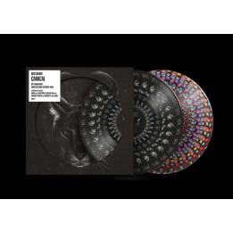 Disclosure - Caracal (10th Anniv. Ltd.) (2LP Zoetrope)