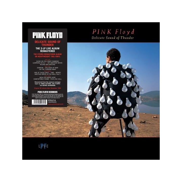 Pink Floyd - Delicate Sound Of Thunder (2LP)
