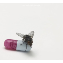 Red Hot Chili Peppers - I'M With You (CD)