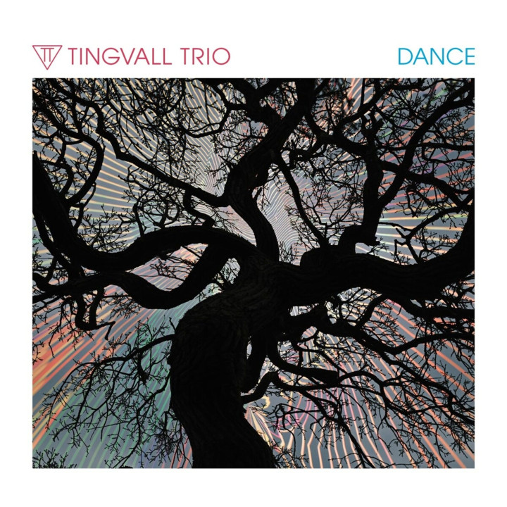 Tingvall Trio - Dance (LP)