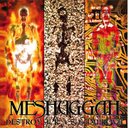 Meshuggah - Destroy Erase Improve (30th Anniv.) (CD)