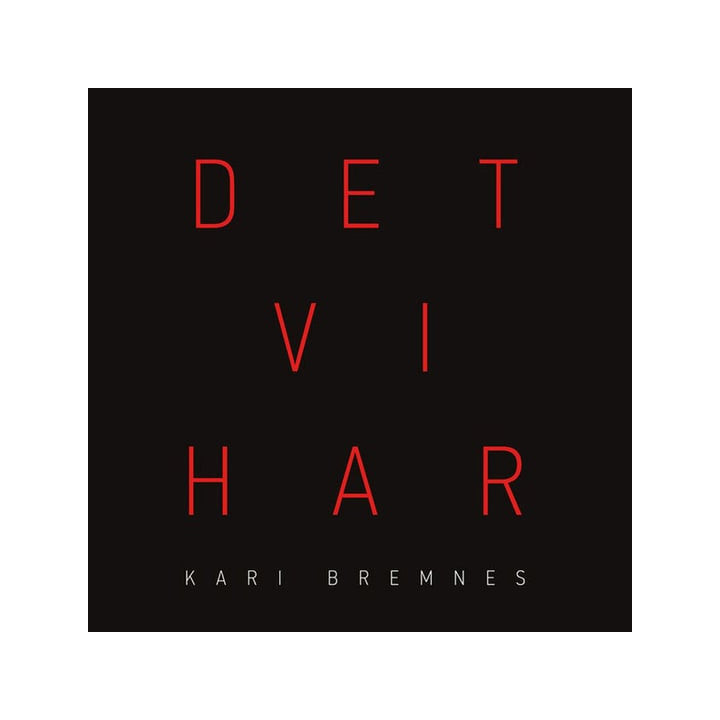 Bremnes Kari - Det Vi Har (2LP)