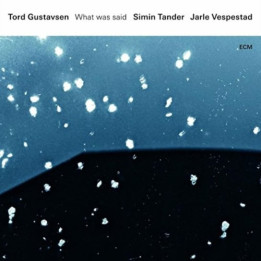 Gustavsen Tord - What Was Said (CD)