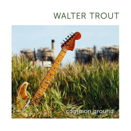 Trout Walter - Common Ground (2LP Transculent Green)