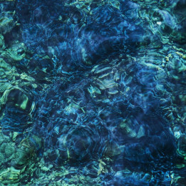 Aoba Ichiko - Luminescent Creatures (CD)