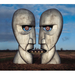 Pink Floyd - The Division Bell (2LP)