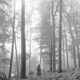 Swift Taylor - Folklore (2LP)