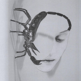 Tortoise - Touch (CD)