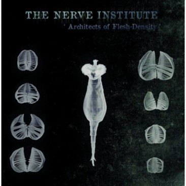 Nerve-Institute-Architects-Of-Flesh-Density