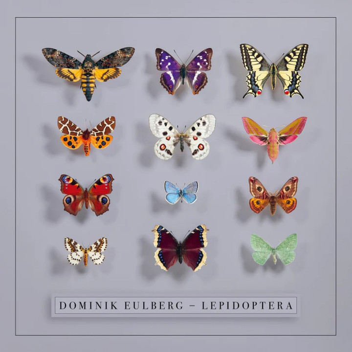 Eulberg Dominik - Lepidoptera (CD)