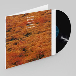 Wheeler Kenny - Gnu High (Luminessence Series) (LP)