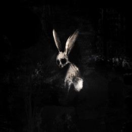 Ghostkid - Follow The White Rabbit (CD)