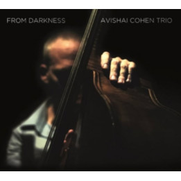 Cohen Avishai Trio  - From Darkness (LP)