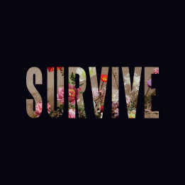 Capaldi Lewis - Survive (CD)