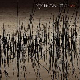 Tingvall Trio - Pax (LP)