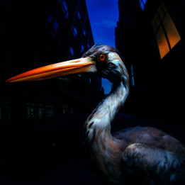 Szmierek Antony - Decoding Birdsong (LP)