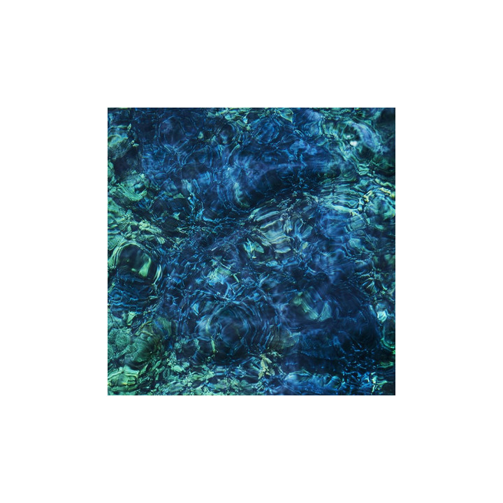 Aoba Ichiko - Luminescent Creatures  (LP)