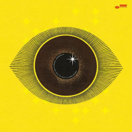 Ndegeocello Meshell - No More Water (2LP)