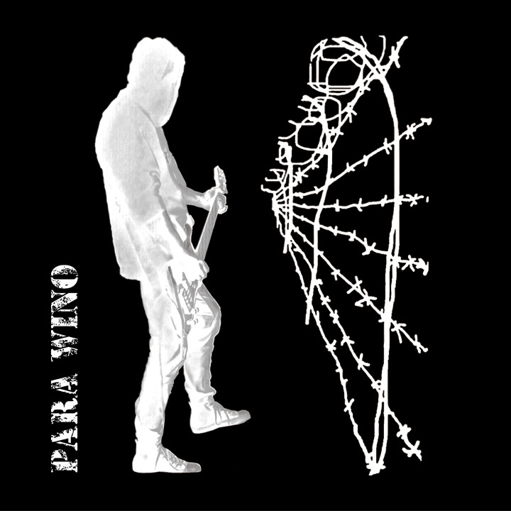 Para Wino - Punk twoja mać (LP)