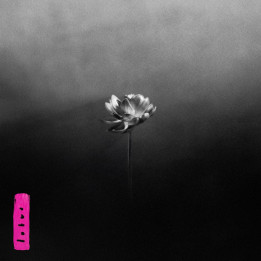 Little Simz - Lotus (CD)
