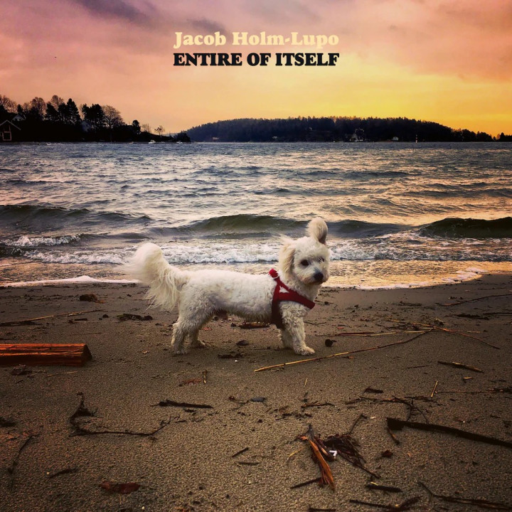 Holm Jacob Lupo - Entire of Itself (CD)