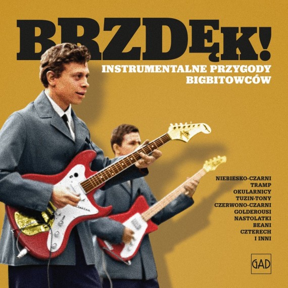 Various-Artists-Brzdek-Instrumentalne-Przygody-Bigbitowcow