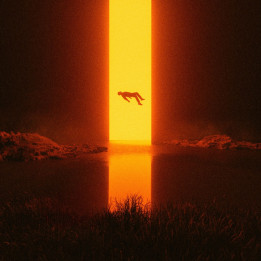 Gaerea - Loss (LP)