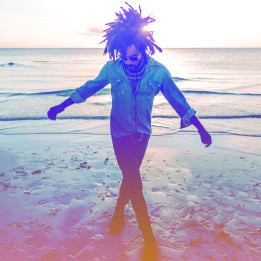 Kravitz Lenny - Raise Vibration (CD)