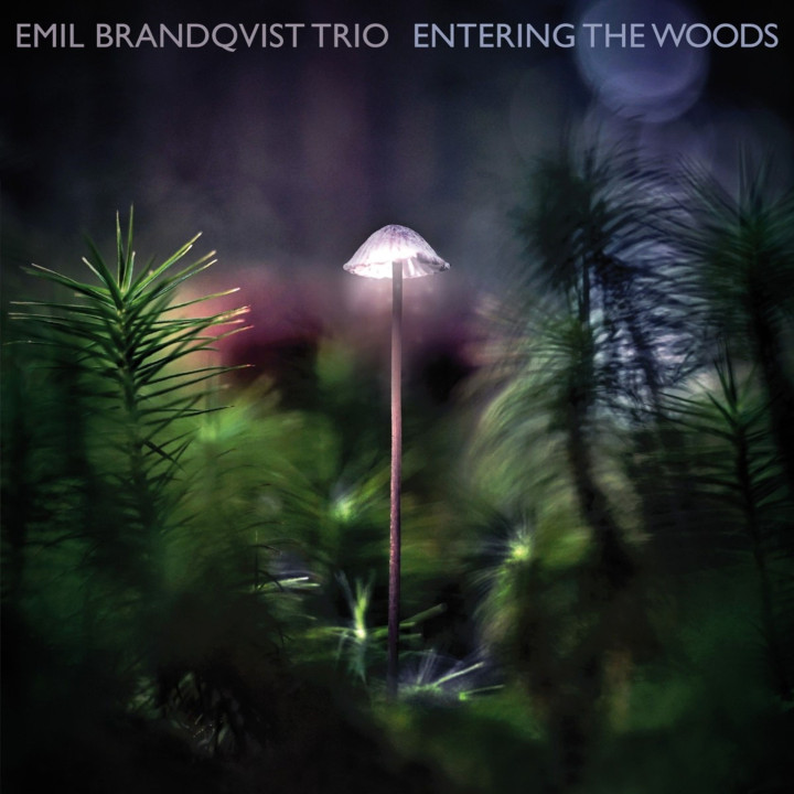 Brandqvist Trio Emil - Entering The Woods (CD)