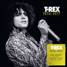T.Rex - 1974-1977 (2LP)